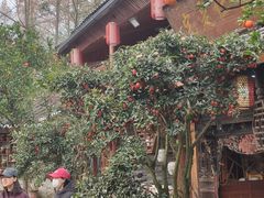 -青城甲(青城山店)