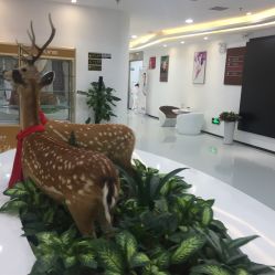 -润泽瑞尼丝医疗美容医院