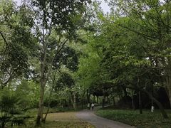 -采石矶景区