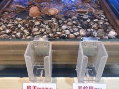 -永红源啤酒·烧烤·海鲜·大排档(青特城店)