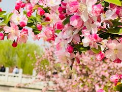 -元大都城垣遗址公园