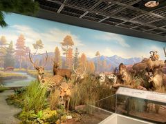 -陕西自然博物馆