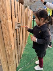 -萌宠亲子动物乐园(槐房万达店)