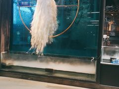 -雀舞云南菜(乐客城店)