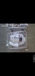 -国健母婴护理中心(经开院)