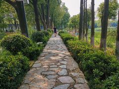 -金银湖国家城市湿地公园