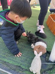 -萌宠亲子动物乐园(槐房万达店)