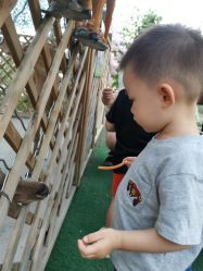 -萌宠亲子动物乐园(槐房万达店)