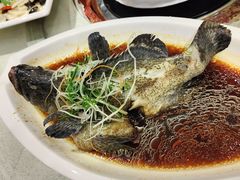 石斑鱼-琼菜坊·无鸡不成宴·海南菜老爸茶糟粕醋(海口骑楼老街店)