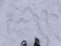 -哈尔滨热雪奇迹