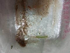 -胖姐烧烤(总店)