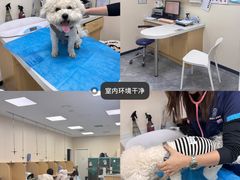 -美联众合爱康动物医院•复杂内科•肿瘤科•牙科•腔镜诊疗中心