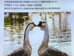 -陆记鹅庄·潮汕菜·狮头鹅(大仟里店)