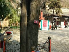 -西安曲江寒窑遗址公园