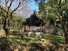 -上海醉白池公园
