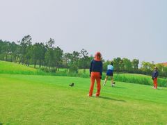球场-棕榈滩海景高尔夫俱乐部