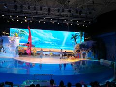 -三亚海昌梦幻海洋不夜城