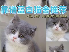 -lincat·猫舍(广州店)