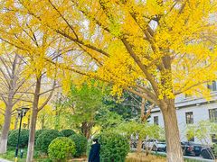 -北京友谊宾馆·俄罗斯餐厅