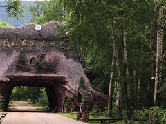 -凤凰山国家森林公园