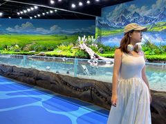 -海合安成都极地海洋公园