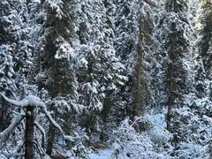 -白马王朗自然风景区