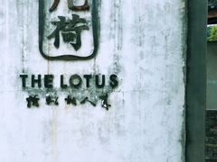 -几荷·恰似故人来(秀水广场店)