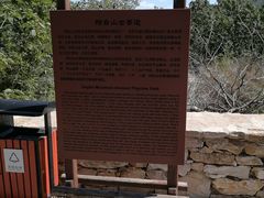 -阳台山自然风景区