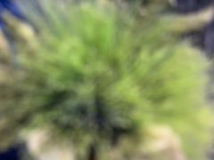 -华夏良子·足道SPA艾灸(金皇大厦店)