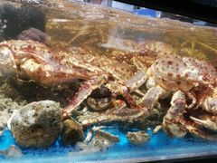 -盒马鲜生(皇庭广场店)