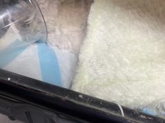-谐和贝康宠物医院24小时·宠保定点(急重症转诊中心)
