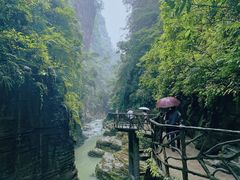 -蝶舞清江·恩施地心谷景区