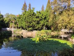 -叶家花园