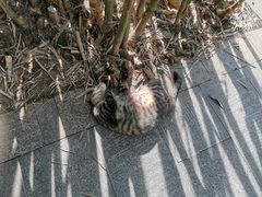 -晓港公园