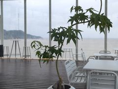 -大京沙滩
