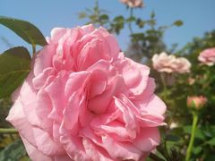 -人民公园(罗湖区)