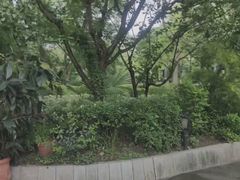-西郊5号·Maggie 5