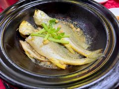 -蛇口康乐快餐鱼仔档(翠苑小区店)