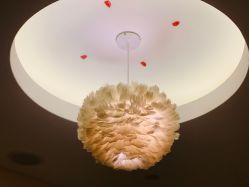 -奥丽维娅美容养生会所