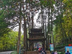 -青城山