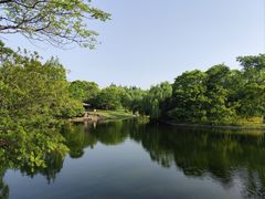 -共青国家森林公园-南大门停车场