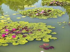 -国家植物园南园