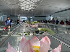 -杭州萧山国际机场