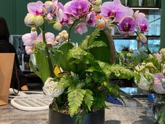 -La Terre乐田(万象城店)