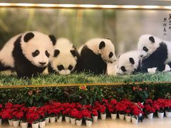 -成都驻京办餐厅(蜀都宾馆店)