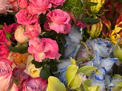 -紫荆广场·花漫里