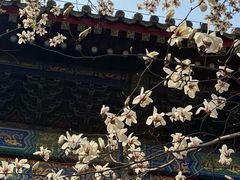 -红螺寺