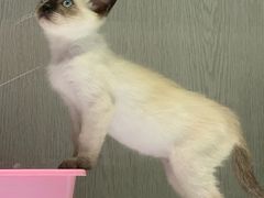 -乐宠宠物店(世纪金源店)