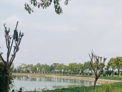 -武汉紫薇都市田园