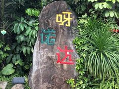 -呀诺达热带雨林
